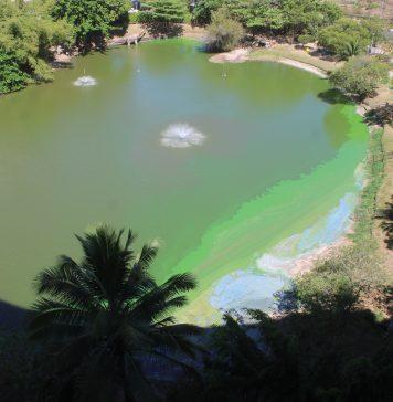 O afogamento da lagoa