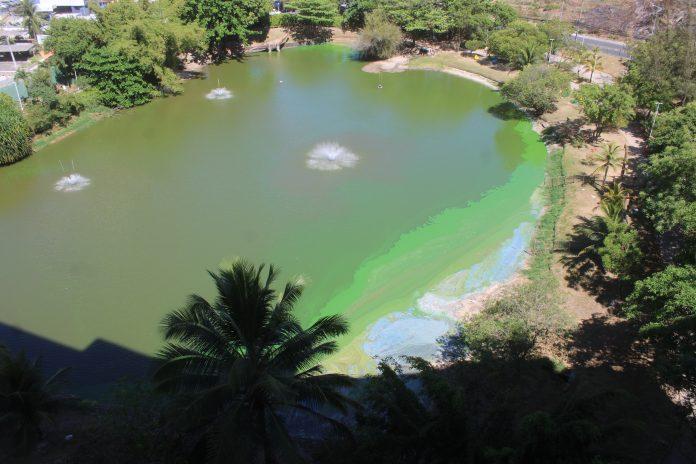 O afogamento da lagoa