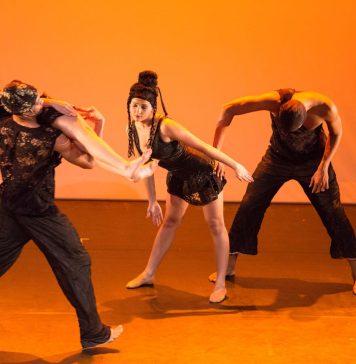 Música na Estrada: Cisne Negro Cia. de Dança e Quinteto Villa-Lobos se apresentam em São Luís "Ziggy" - foto: divulgação