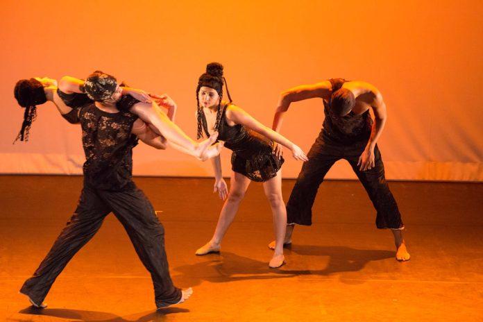 Música na Estrada: Cisne Negro Cia. de Dança e Quinteto Villa-Lobos se apresentam em São Luís "Ziggy" - foto: divulgação