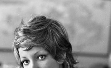 Diana, operária da canção popular