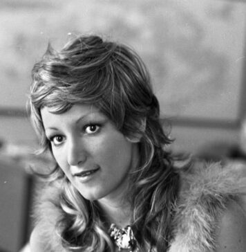 Diana, operária da canção popular