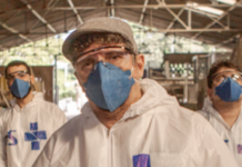 “Mundo Livre S/A 4.0” ilumina o samba de combate de Zero Quatro