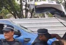 Polícia prende manifestante por abraçar árvore na Vila Mariana