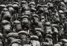 Sem Sebastião, a extinção parece logo ali