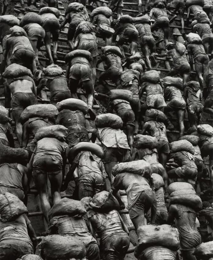 Sem Sebastião, a extinção parece logo ali