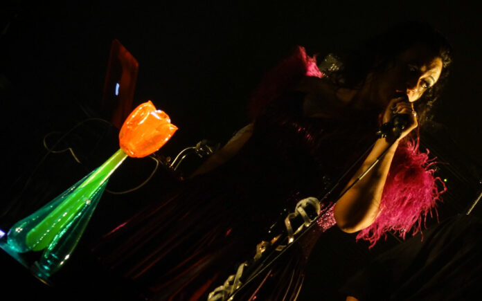 18095174801_f97f684e8c_b Tulipa Ruiz