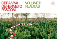 As flautas mágicas de Hermeto Pascoal "Obra Viva de Hermeto Pascoal - Volume 1: Flautas" - capa: reprodução