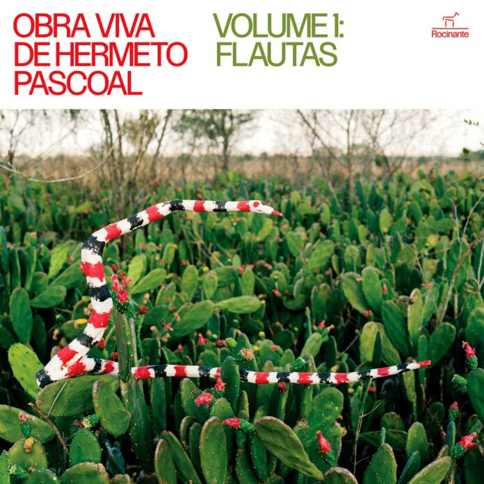 As flautas mágicas de Hermeto Pascoal "Obra Viva de Hermeto Pascoal - Volume 1: Flautas" - capa: reprodução