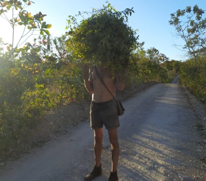 À procura de João Planta