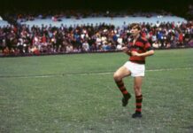 “O mais querido tem Zico” O jovem Zico, galinho que se tornaria samurai, no início de sua trajetória - still/ reprodução