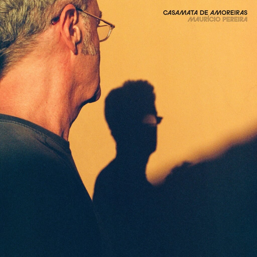 "Casamata de amoreiras" - capa/ reprodução