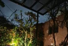 A música mais fabulosa pode brotar do jardim mais escondido