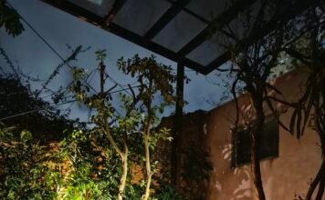 A música mais fabulosa pode brotar do jardim mais escondido